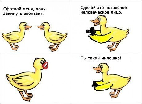 post-3-13286096608026.jpg
