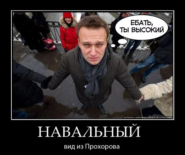post-3-13303765181202.webp