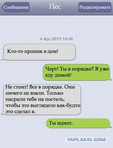 post-3-13341278131557.webp