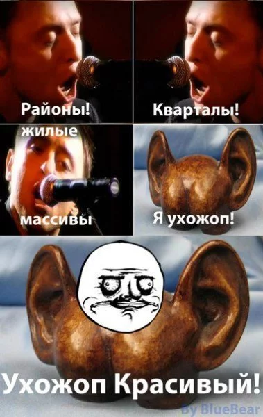 post-3-13484628059558.webp