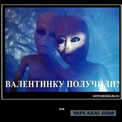 post-3-13610338225479.webp