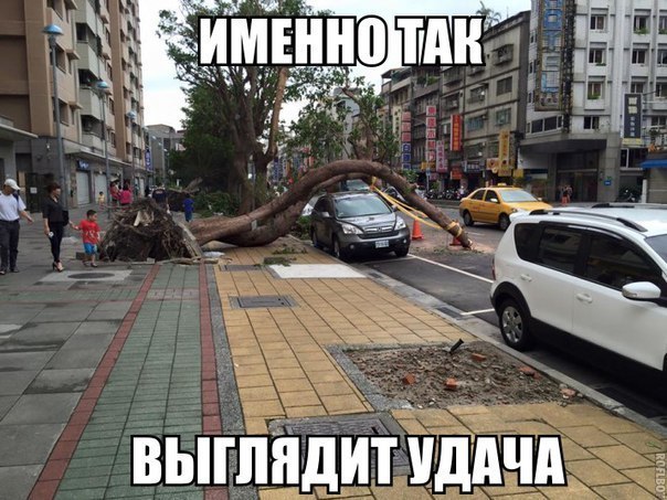 post-6918-0-79415700-1458504289.jpg