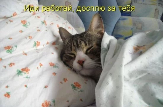 post-77722-1298721731.webp
