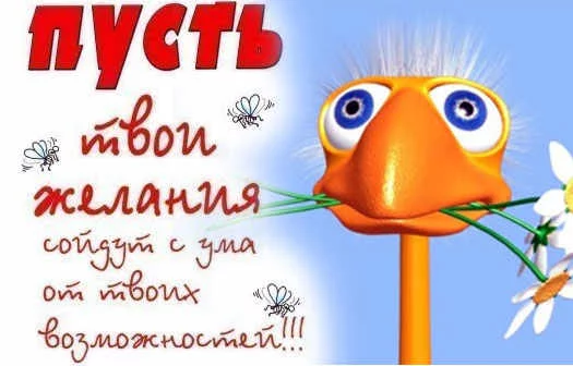 pozdravlenie.webp