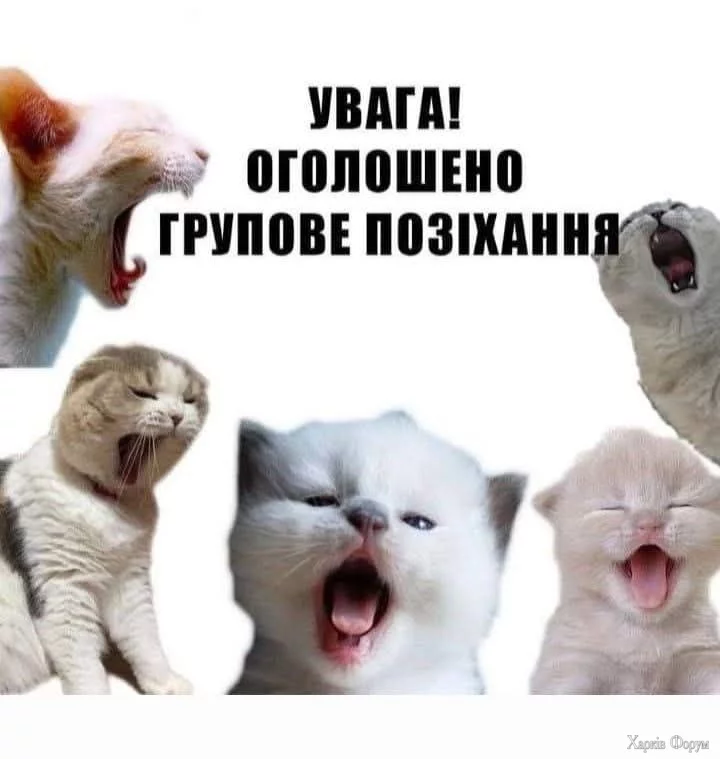  позіхання.webp