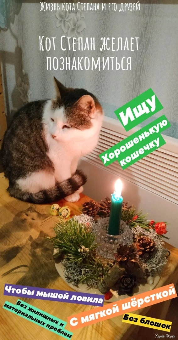  познакомиться.webp