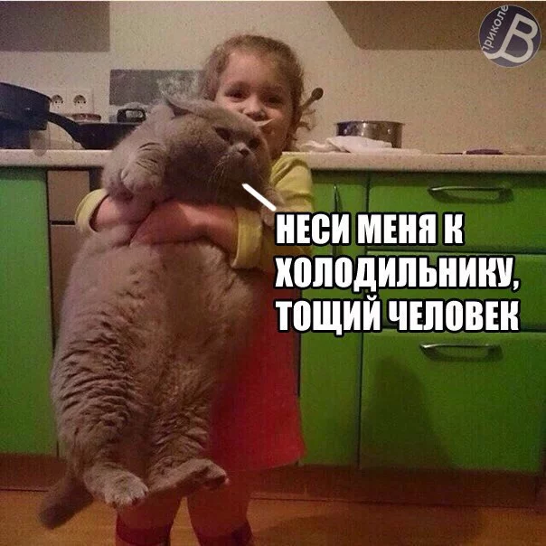 pqB-VZu0Fak.webp