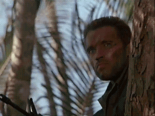 Predator3.gif