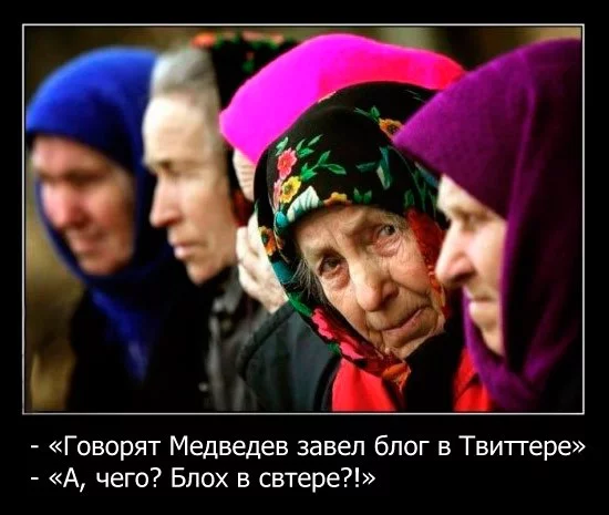 prev_11.webp