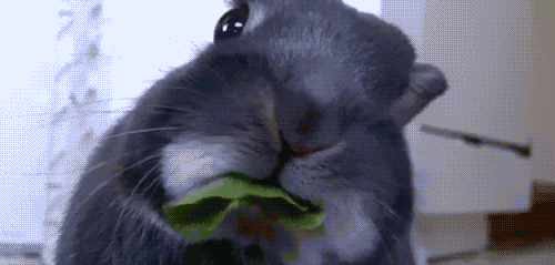 prikol16.gif