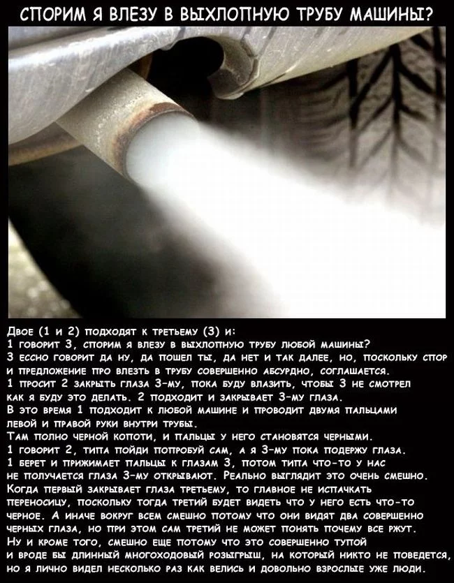 prikol_07.webp