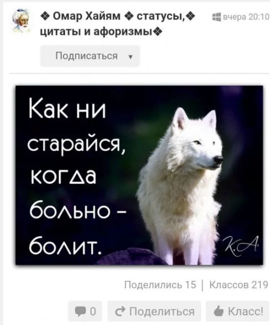 prikoli_od_45.webp