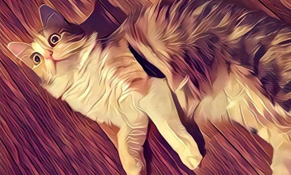 Prisma-1000x600.webp