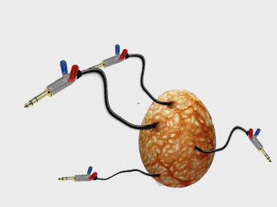 prov.gif