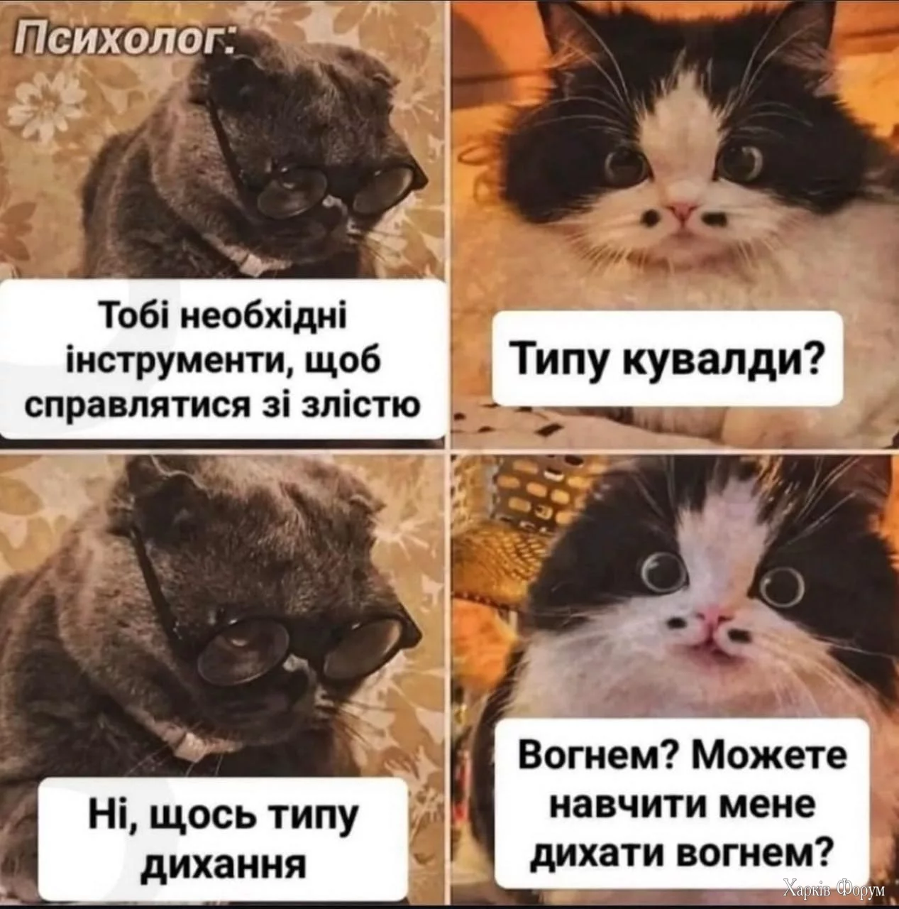  психология.webp
