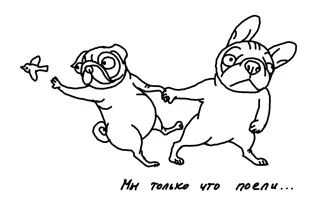 pug27.webp