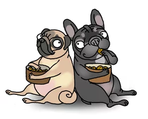 pug29.webp