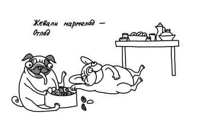 pug531.webp