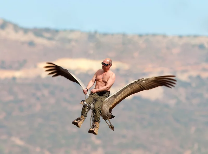 putin_ptic.webp