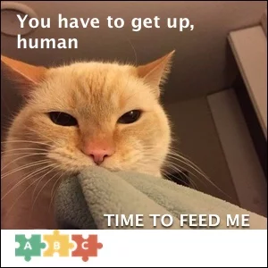 puzzle_you_have_to_get_up.webp