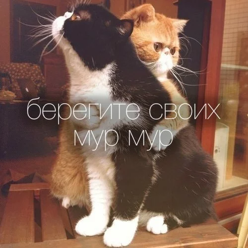 Py5dQYqPIEQ.webp