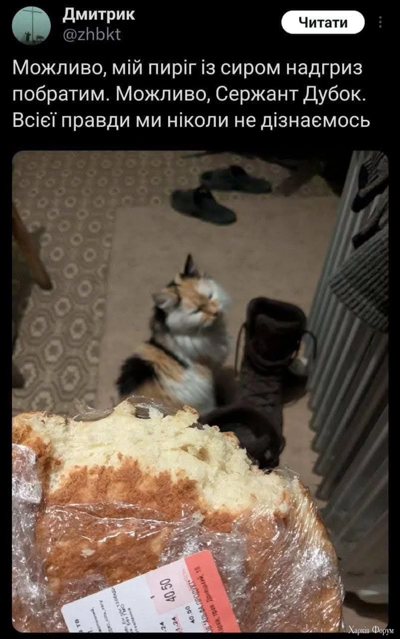  пиріг.webp