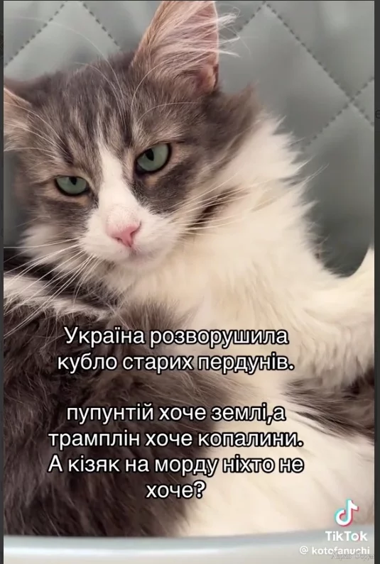  питання_.webp