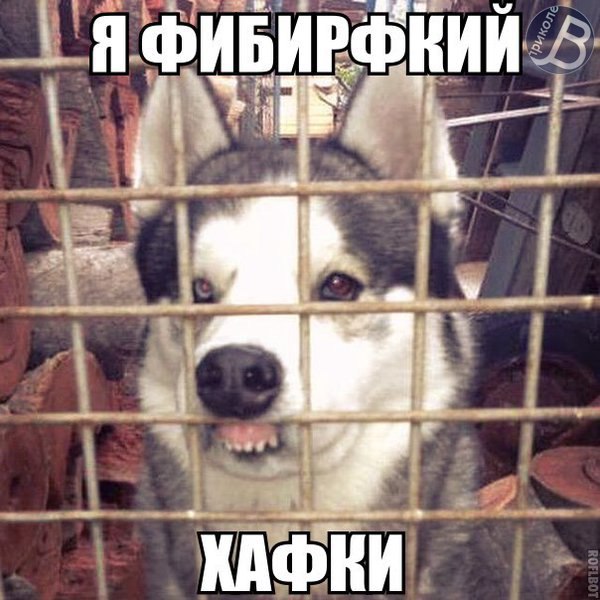 PYYvA74cxvQ.jpg