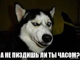 q=tbn:ANd9GcR2vew7OeQRVwQcKcAJOFKdvr-OU-_If9hPeA&s.webp