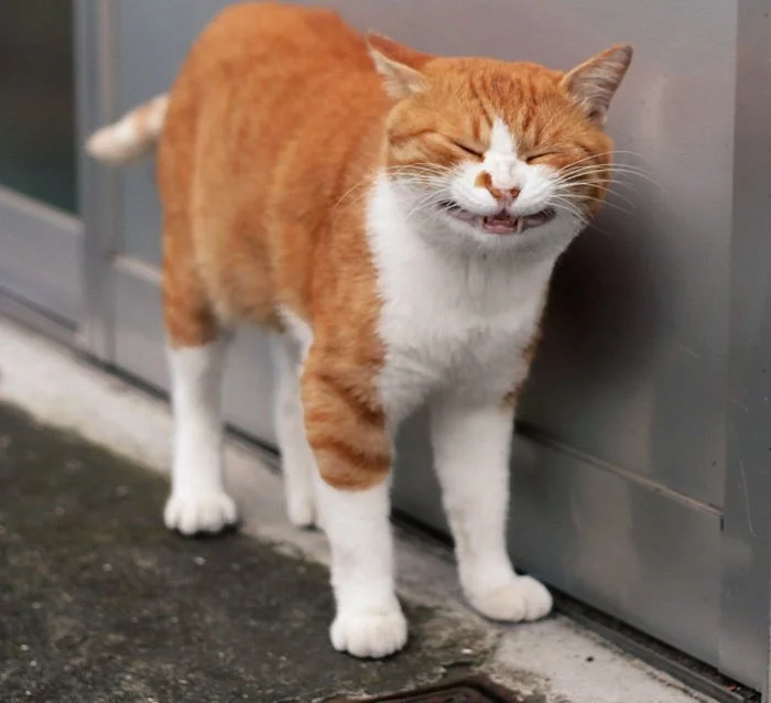 q9CuAla1Efk.webp