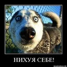 Q_dnyZW7LKgcWf4QhUc0JkPkT-KOXIN2FdgEvN7JOngOjZne5c.webp
