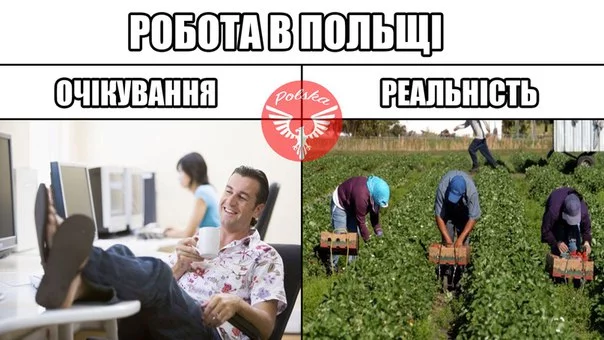 QAGRiEp0TVM.webp