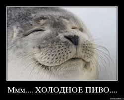 QC4H_FqabyDIgiEoj7wUlVOfl0OZD4D5svhD3_zKxrIKShJGaA.webp