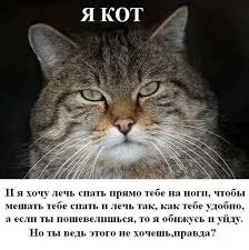 QCDDJbCfJy0_8nnXGWaPgYdWIhcYnn0Wz8NweRPZCkBseSoKPQ.webp