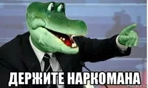 qEDbsCamx28iAgbDcNVf-hkLnev53OLOLZ1jPT85dSZU7vm_nQ.webp