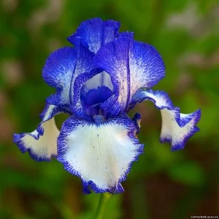 qESqHFuJoJ0.webp