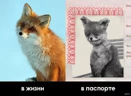 QfKUhov53VrYhYnm1Jb-K32fKTH1buAJrsJ8n5szdYp5L1x-M5.webp
