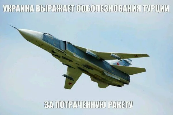 qhOd5bInmyU.webp