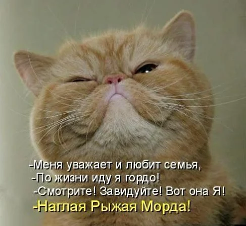 QhPbk8cDhp4.webp