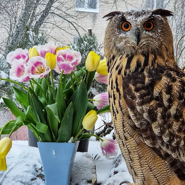 qhUvptJ4Hs05Y=s640-c-fcrop64=1,1e120000d0ffffff-nd.webp