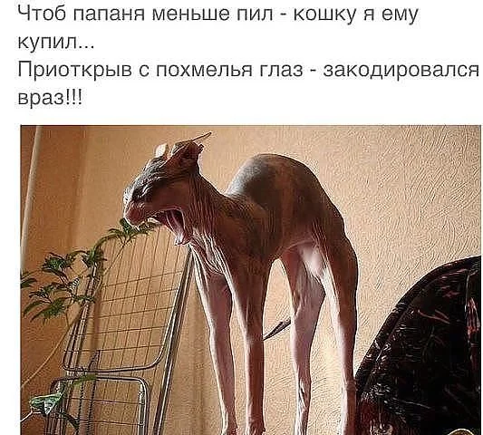 QJan40XWAX8.webp