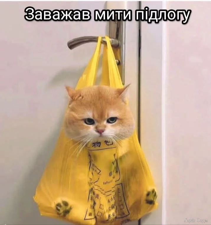 QJzZCwX_C-FRZYw&_nc_zt=23&_nc_ht=scontent.fiev25-1.webp