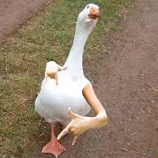 QLXvVjllKW_oamdFvm9JdDuSLe9cLH1dumtGAgS0_mPkJQB5w2.jpg