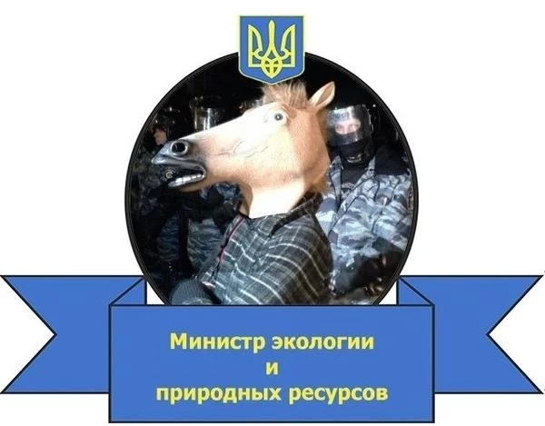Qmsw17WKCXk.webp