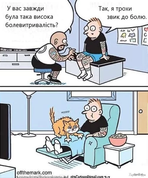 QODooicCqpHtnEpc&_nc_zt=23&_nc_ht=scontent.fdnk1-3.jpg