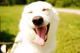 QpQBLWtGYwPQbQfqqR1FjbD7z6wiXP3HUsynz3FRX3BtAwCVvJ.webp