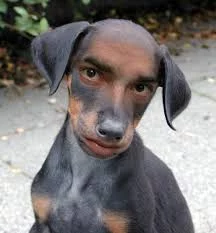 QQxI2cMhMINEEWZsSJkQSxBTmPAUiog8JQx9wyICWeEapxbwLQ.webp
