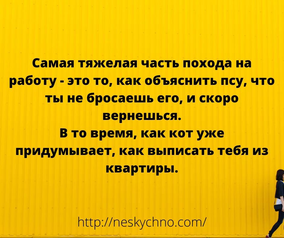 qrfjgnv.webp