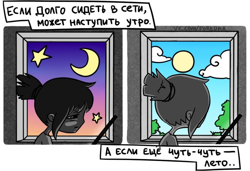 qT6dWOttPTE.jpg