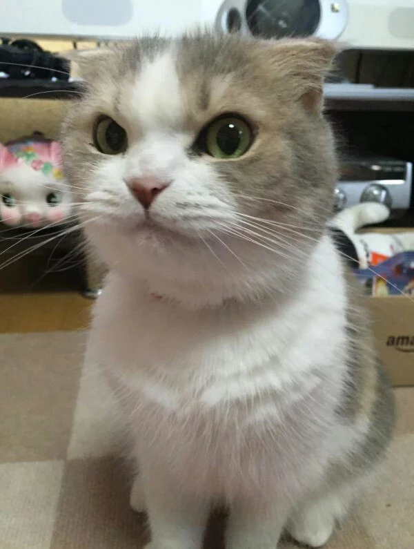 Qu9yE7P_-VU.webp